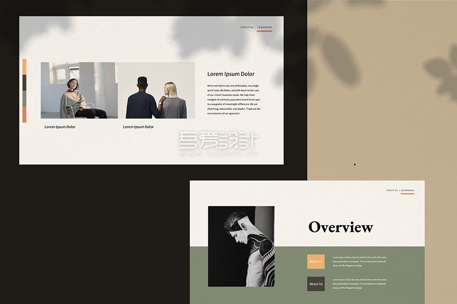 staywild-presentation-demo_dirtytemp-studio_300919_prev06