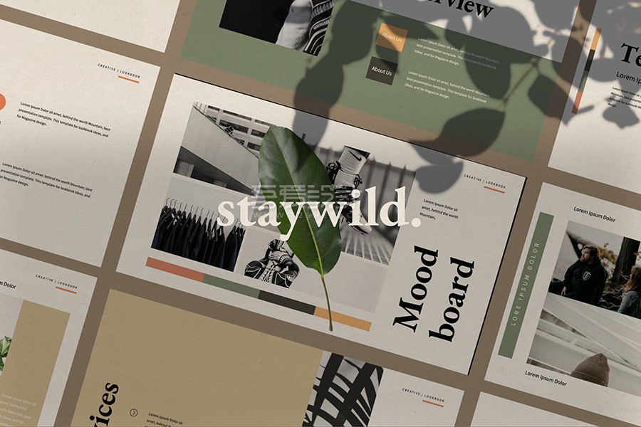 高质量简约多用途PPT演示模板-Staywild
