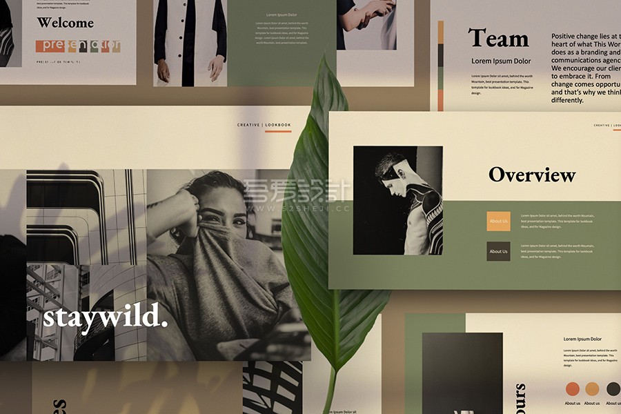 staywild-presentation-demo_dirtytemp-studio_300919_prev03