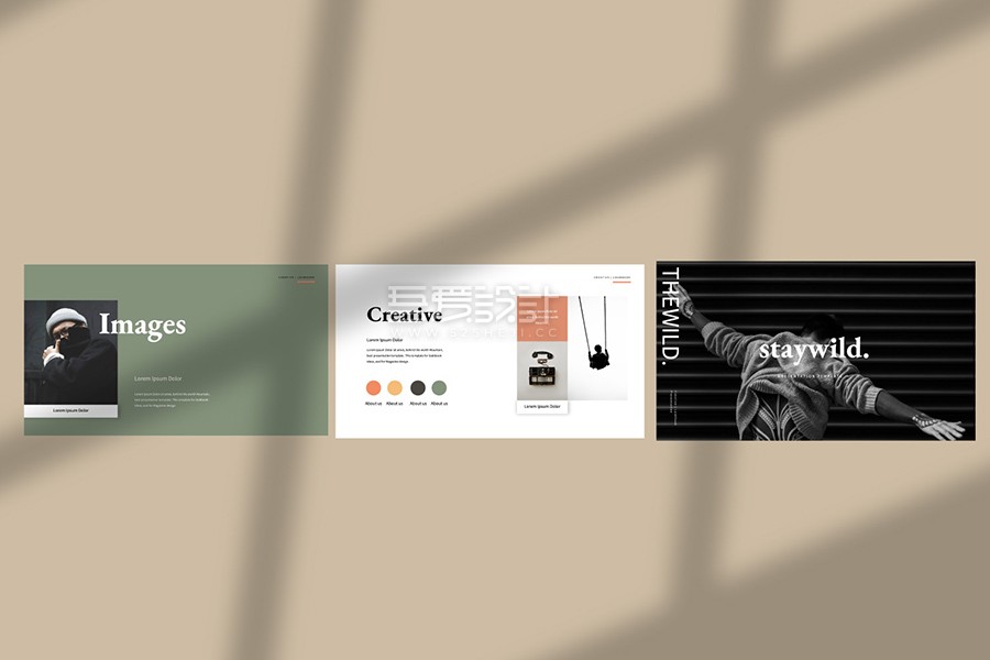 staywild-presentation-demo_dirtytemp-studio_300919_prev04